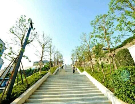 1548293169952766.jpg k05.jpg