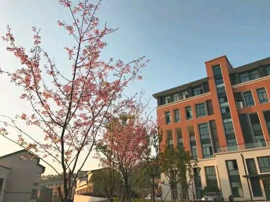 1553500769629468.jpg 03.jpg