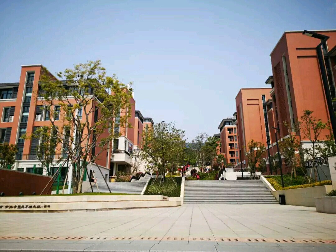 1553500809110367.jpg 06.jpg