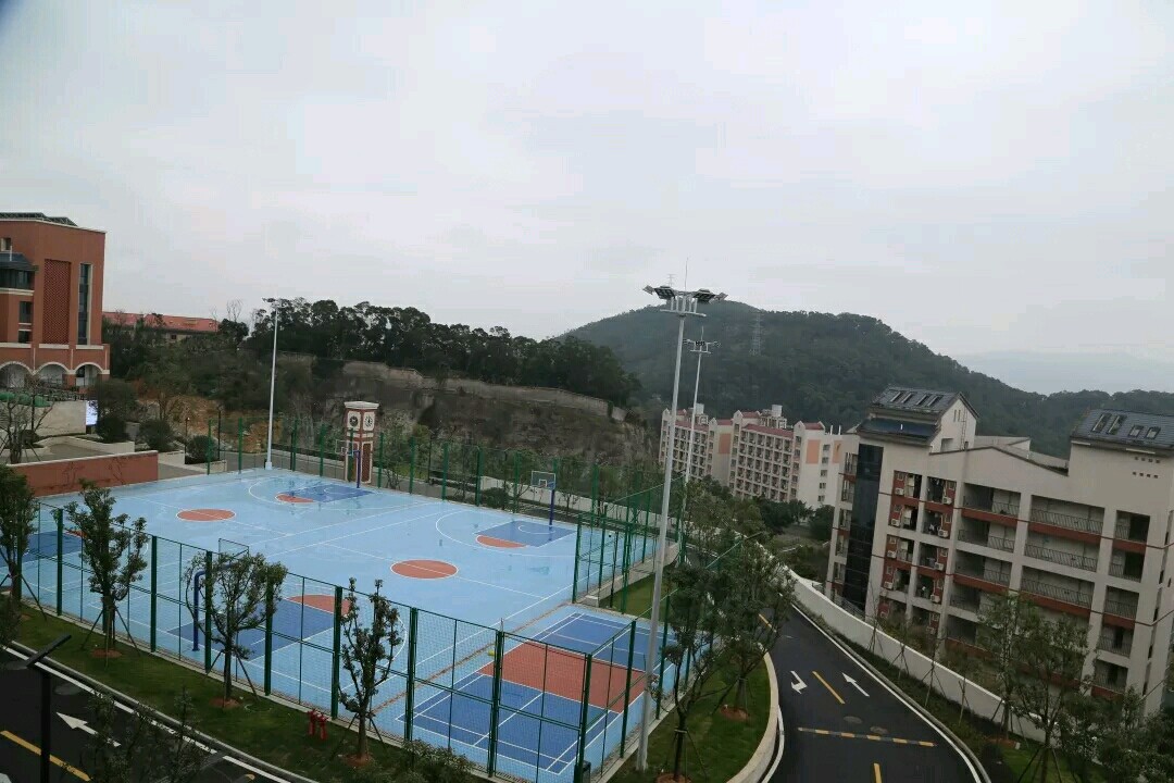 1553500834837011.jpg 08.jpg