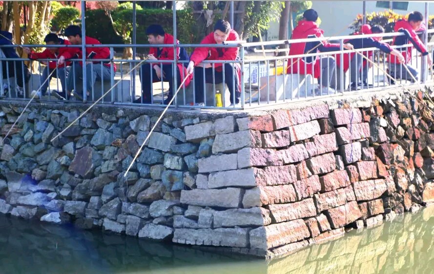 1577260424816146.jpg 08.jpg