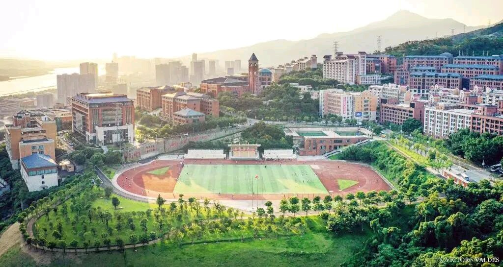 1589336132883051.jpg 01.jpg