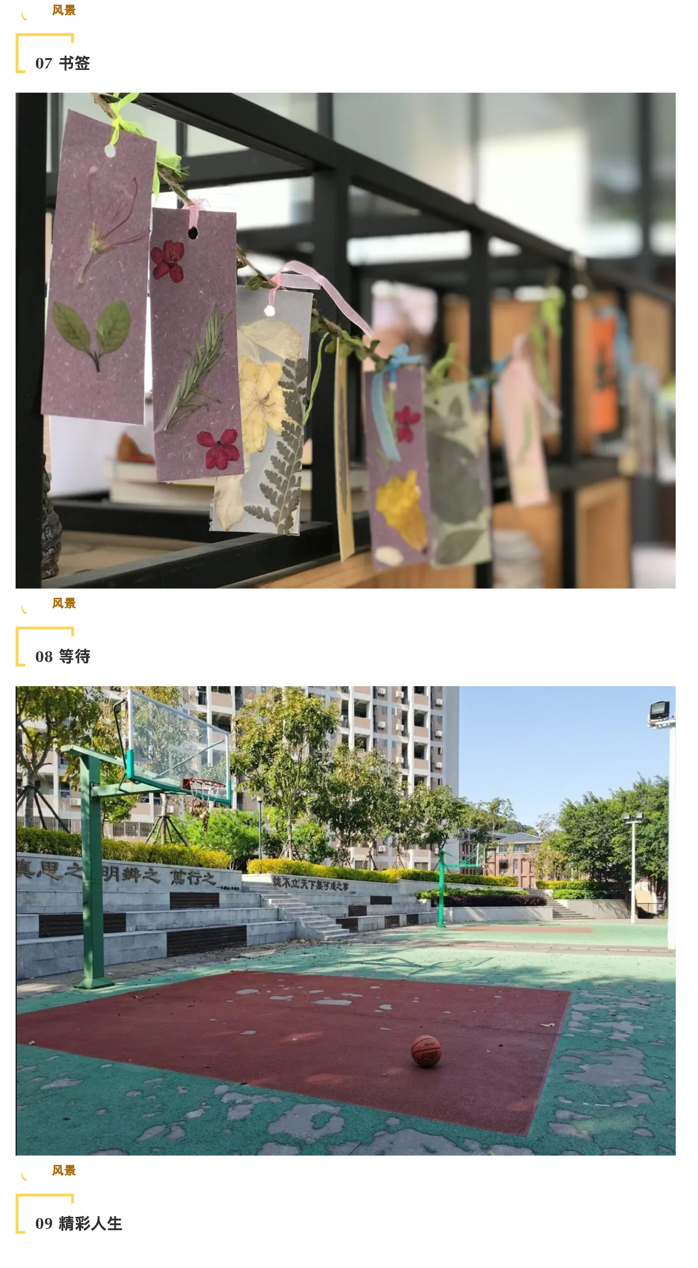 “說陽光故事 展陽光風采”攝影大賽-5.jpg