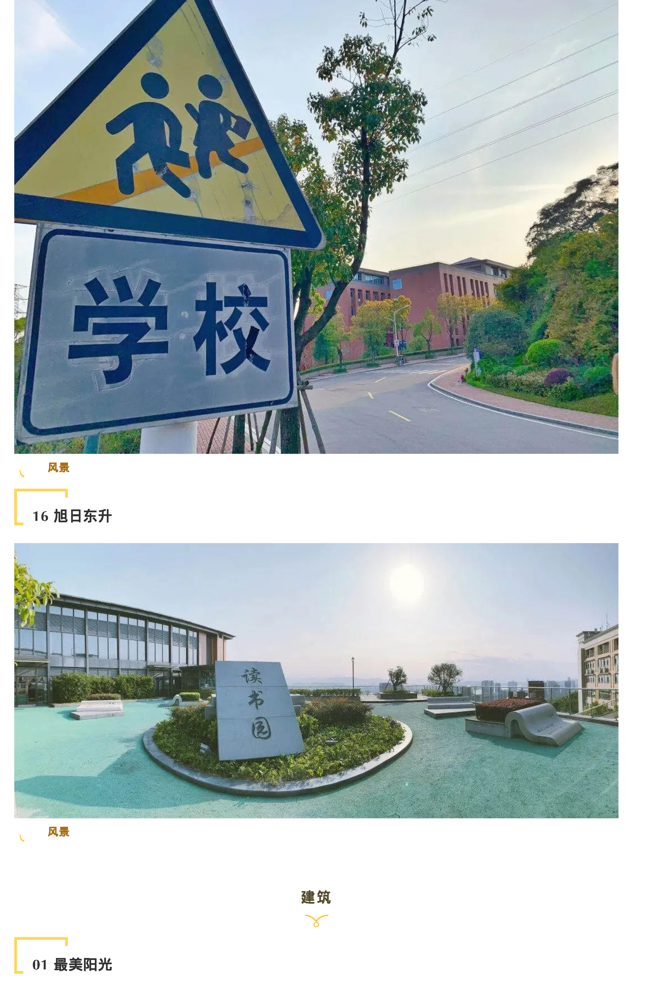 “說陽光故事 展陽光風采”攝影大賽-9.jpg