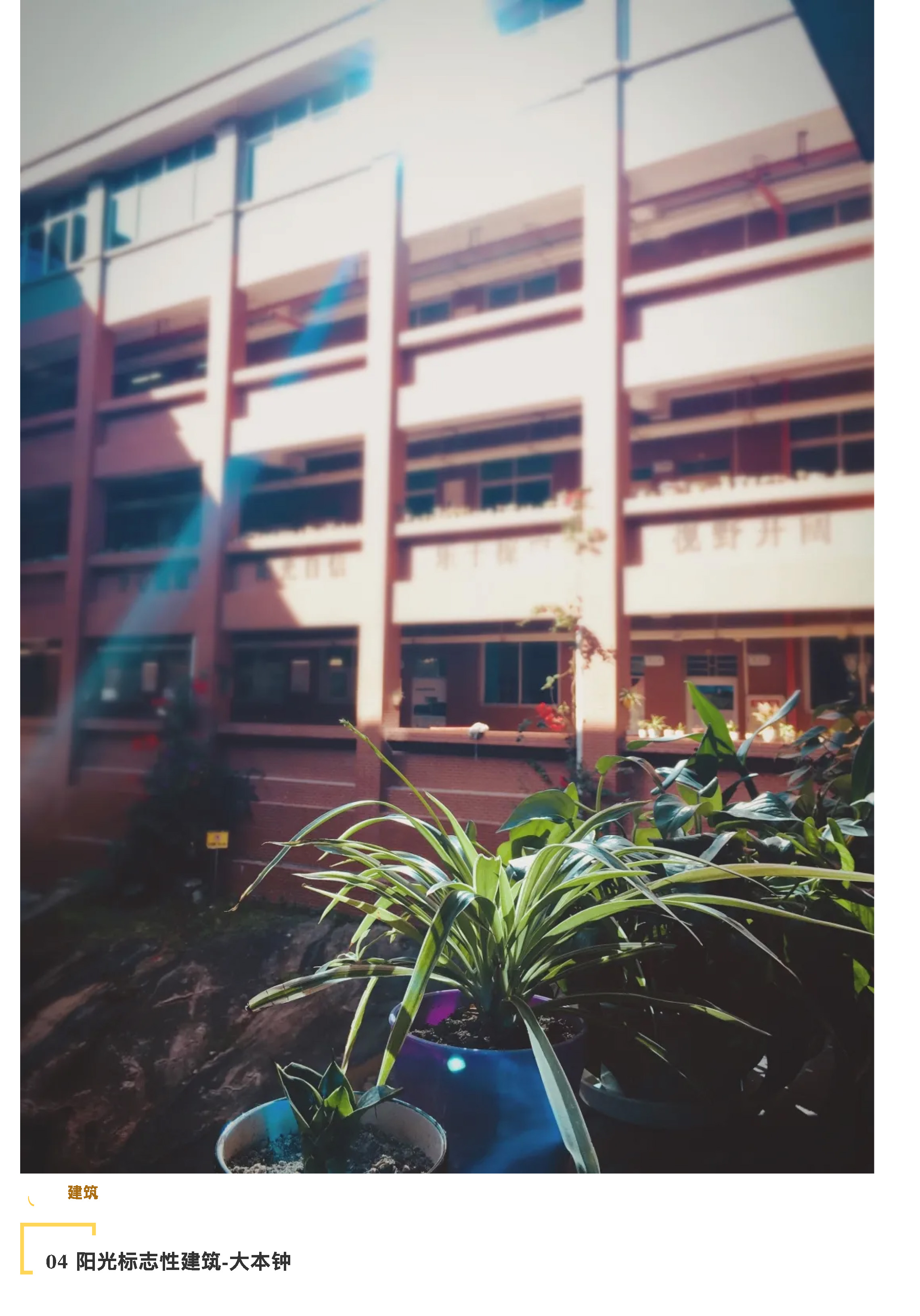 “說陽光故事 展陽光風采”攝影大賽-12.jpg