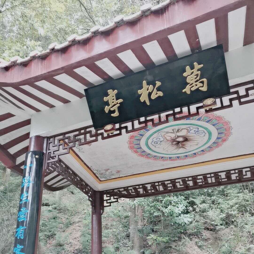 1604016128253853.jpg mmexport1603846343118.jpg