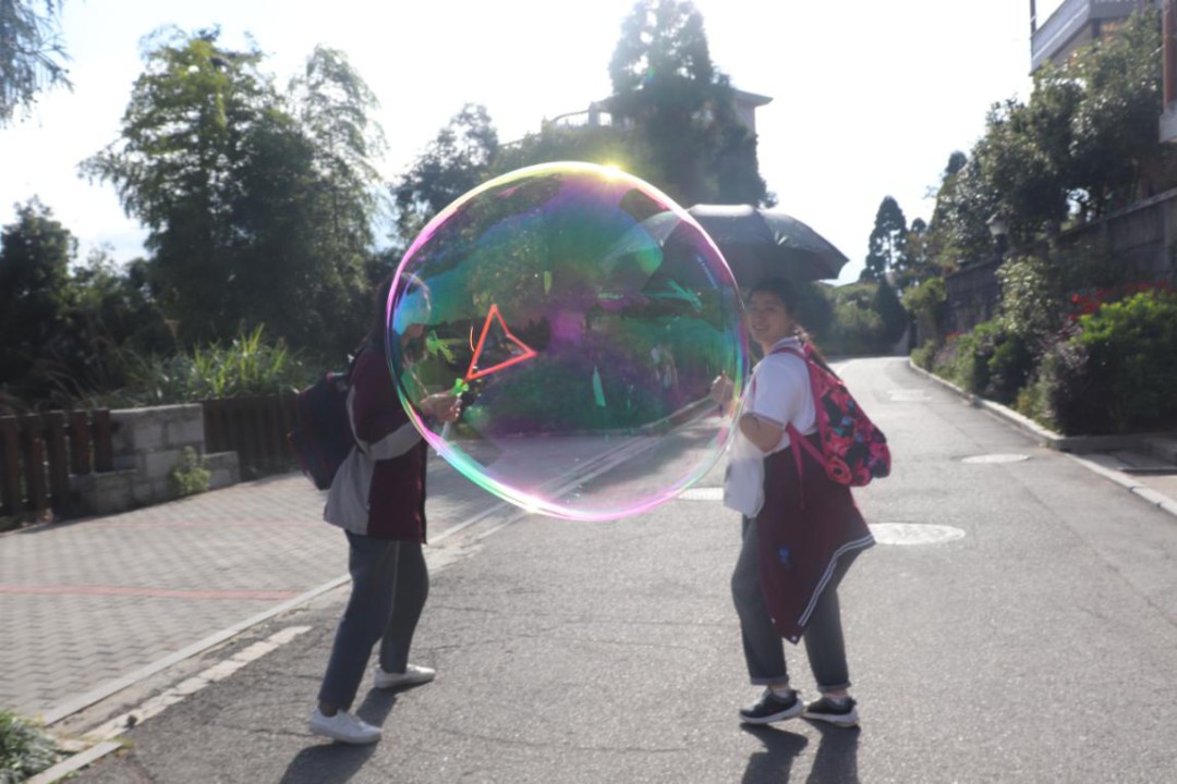 1604016398496706.jpg mmexport1603846394128.jpg