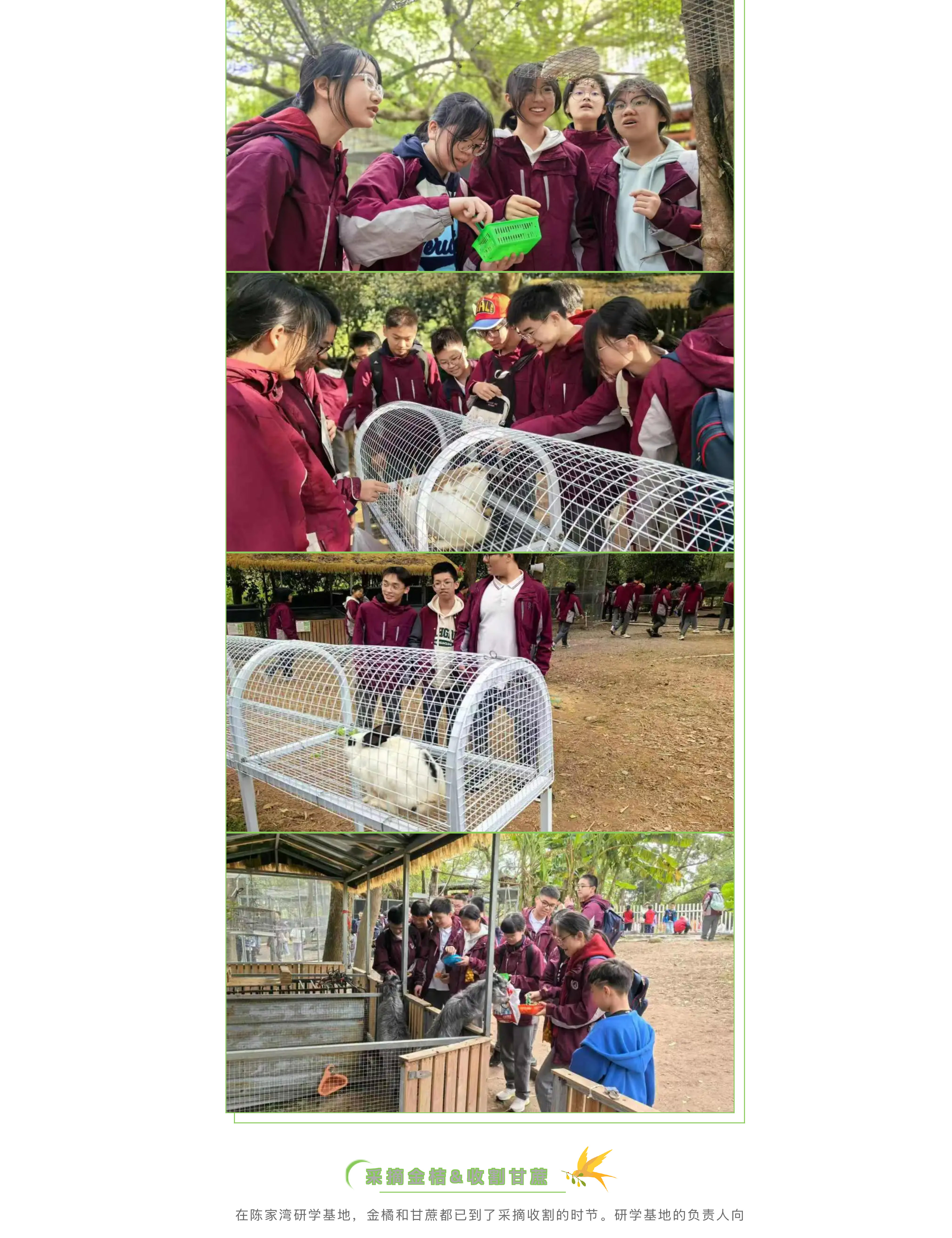 追尋紅色記憶 探索森鐵魅力 | 福州市陽光實(shí)驗(yàn)學(xué)校初中部研學(xué)活動(dòng)-31.jpg