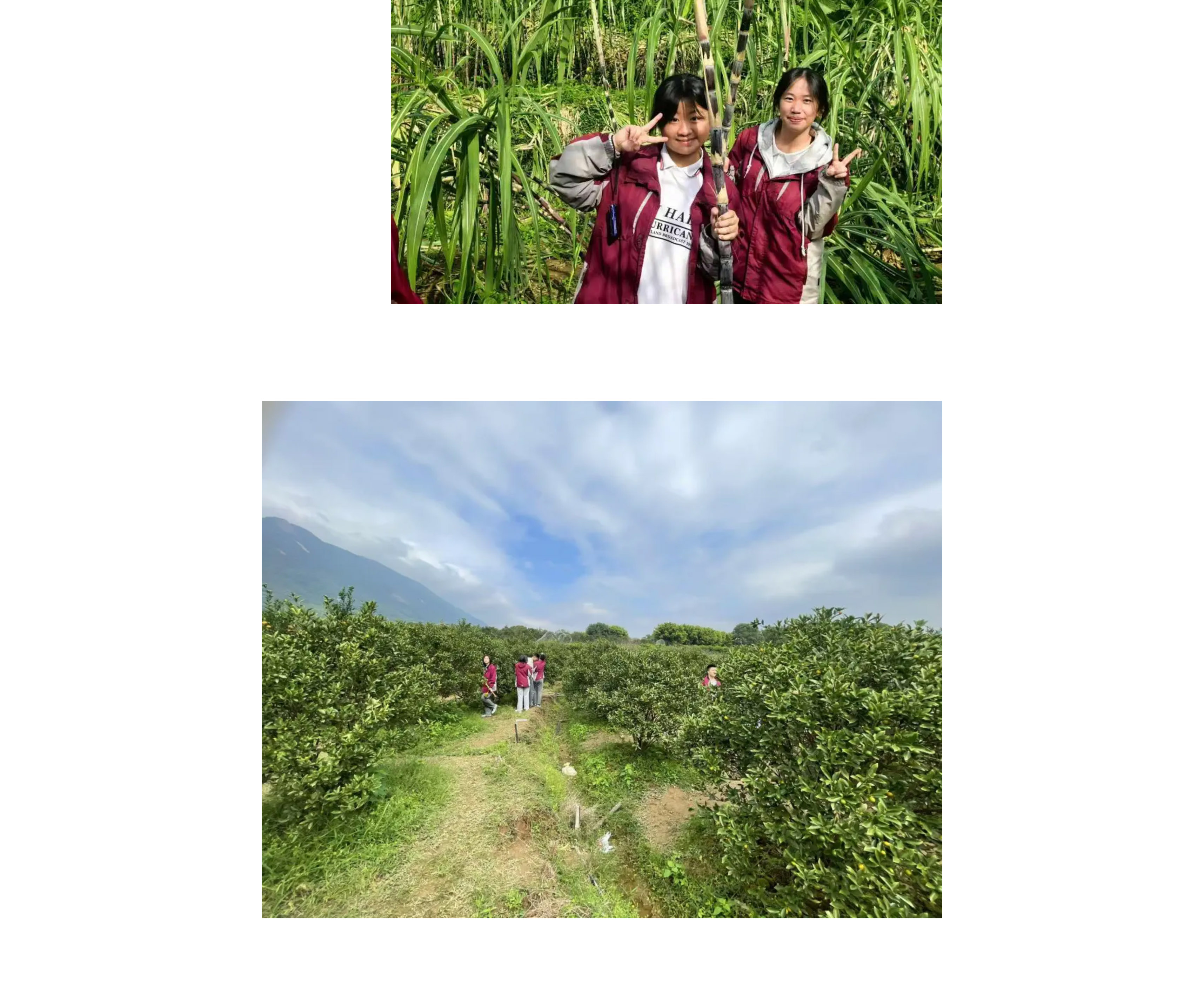 追尋紅色記憶 探索森鐵魅力 | 福州市陽光實(shí)驗(yàn)學(xué)校初中部研學(xué)活動(dòng)-34.jpg