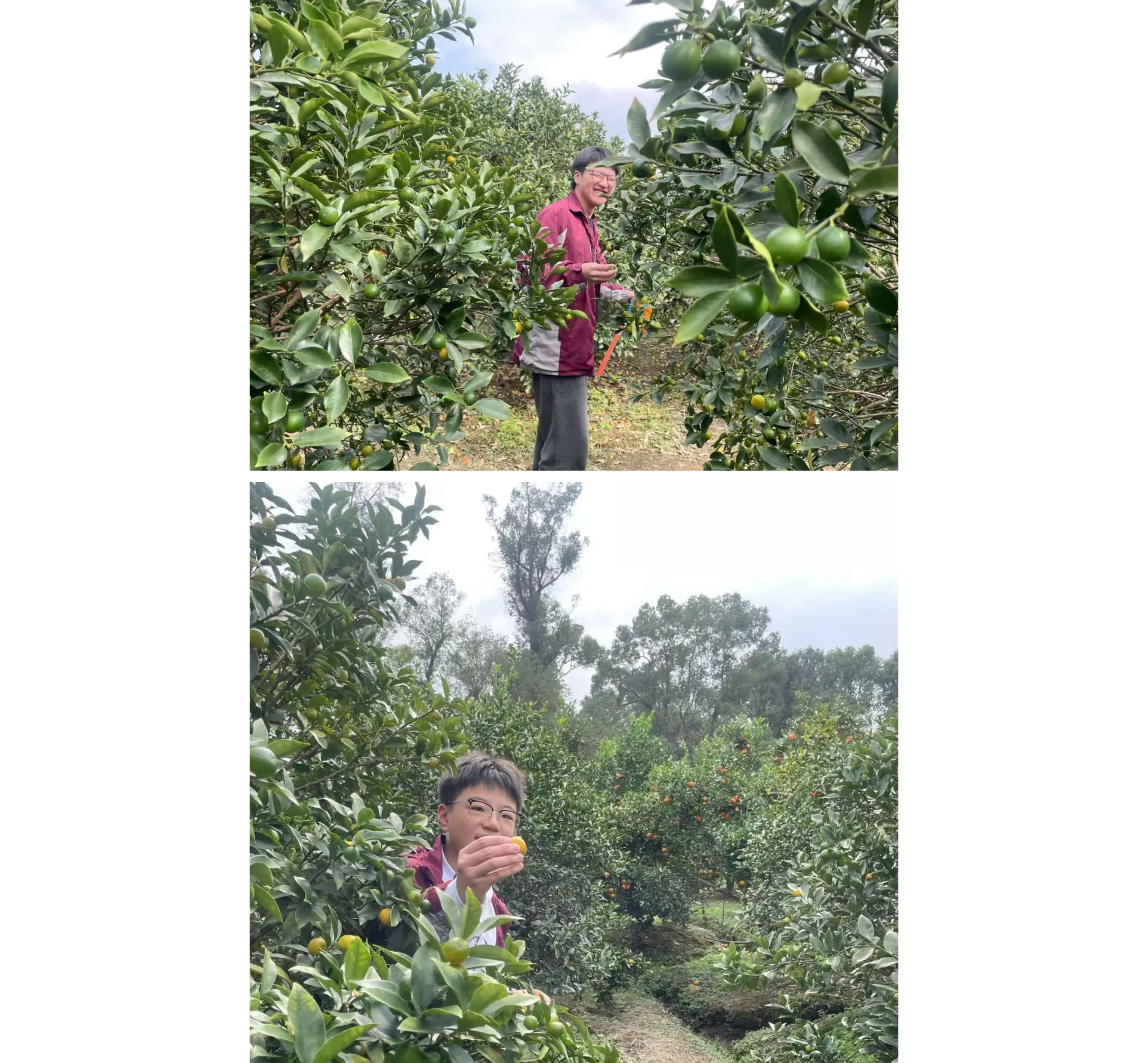 追尋紅色記憶 探索森鐵魅力 | 福州市陽光實(shí)驗(yàn)學(xué)校初中部研學(xué)活動(dòng)-36.jpg